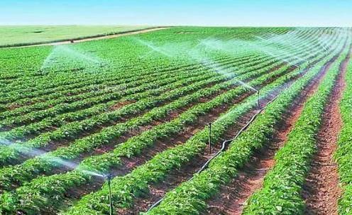 靠逼的操逼的操逼的操逼的操逼那草泥的农田高 效节水灌溉